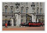 Trooping the Colour 009